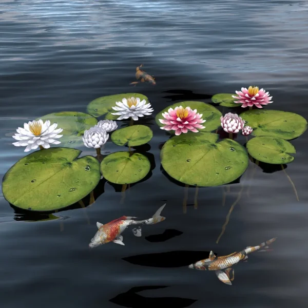 3DSky - Waterlily 2