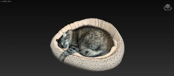 3DSky - Cat 6