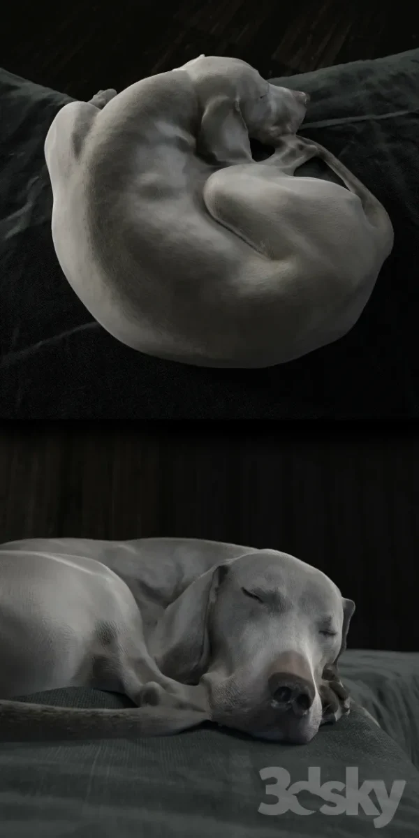 3DSky - Gert - Image 2