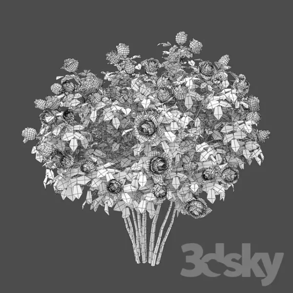 3DSky - Rose Bush - Image 2