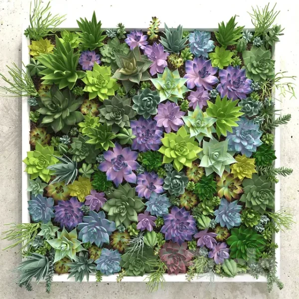 3DSky - Succulents Wall