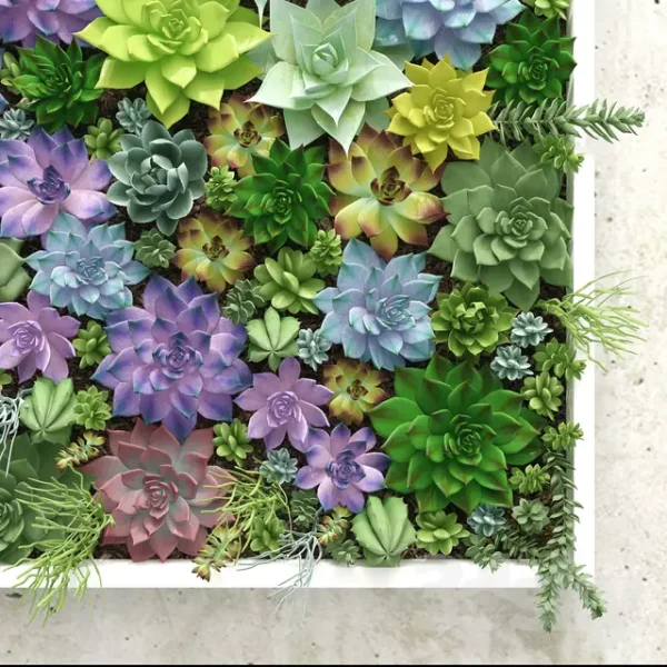3DSky - Succulents Wall - Image 3