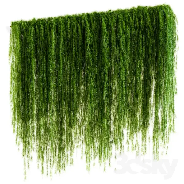 3DSky - A Wall of Drooping Plant Branches