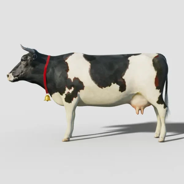 3DSky - Cow