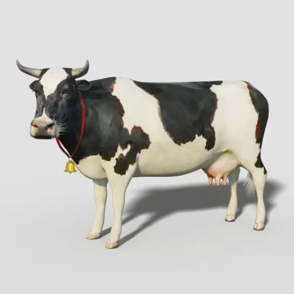 3DSky - Cow - Image 2