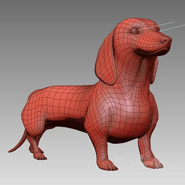 3DSky - Black Dachshund - Image 2