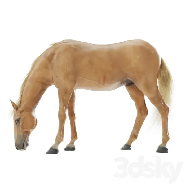 3DSky - Grazing Horse