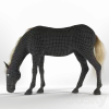 3DSky - Grazing Horse - Image 2