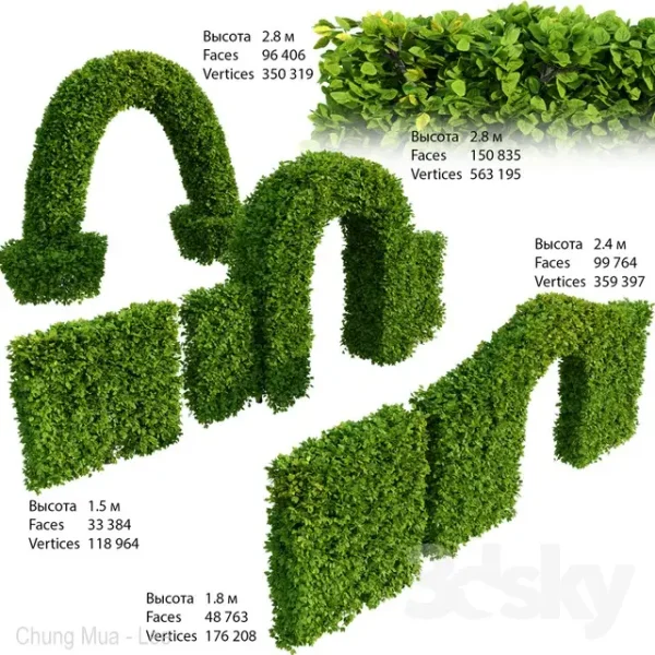 3DSky - Hedge