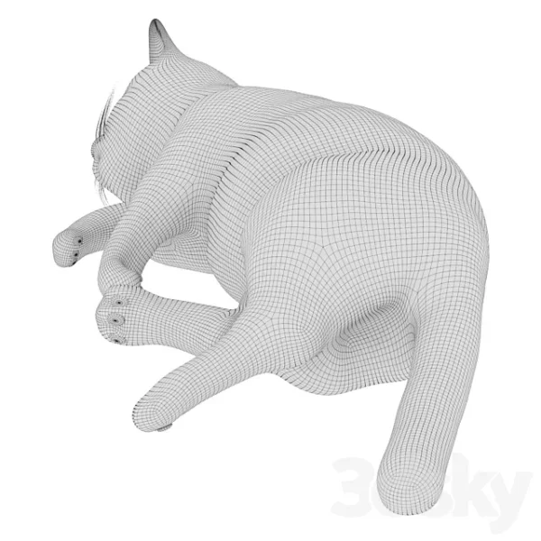 3DSky - Cat - Image 3