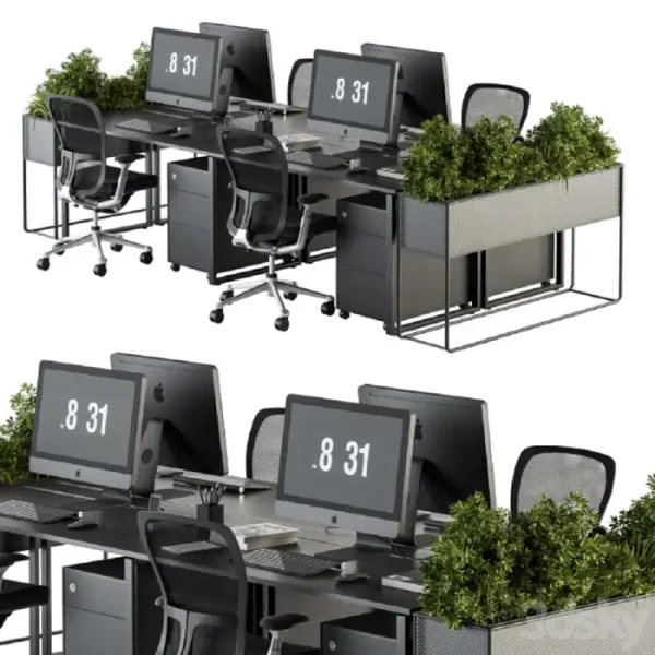 3DSky - Office Furniture Employee Set Plants Box Divider 34 - Image 3