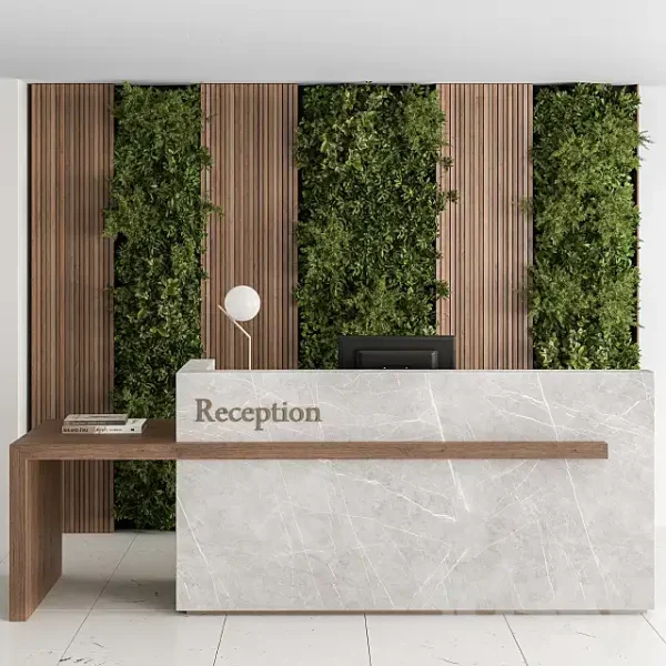 3DSky - Reception Desk and Wall Decor with Vertical Garden Office Set 238