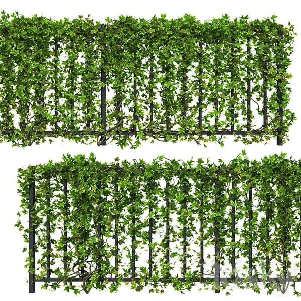 3DSky - Fence with Ivy v16 - Image 3