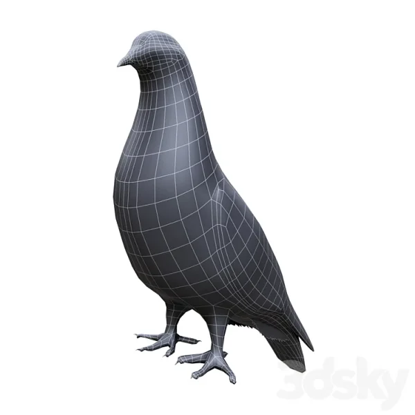 3DSky - Pigeon - Image 4