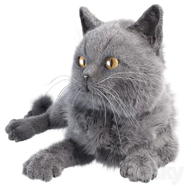 3DSky - Gray Cat