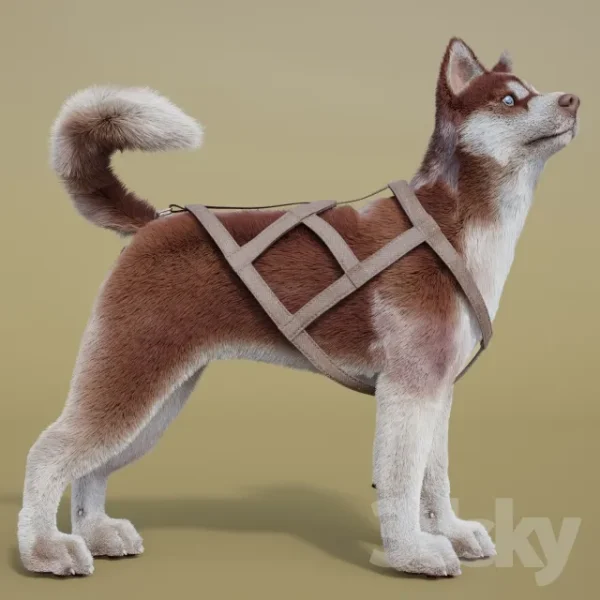 3DSky - Dog Team Huskies Sled Pulka - Image 2
