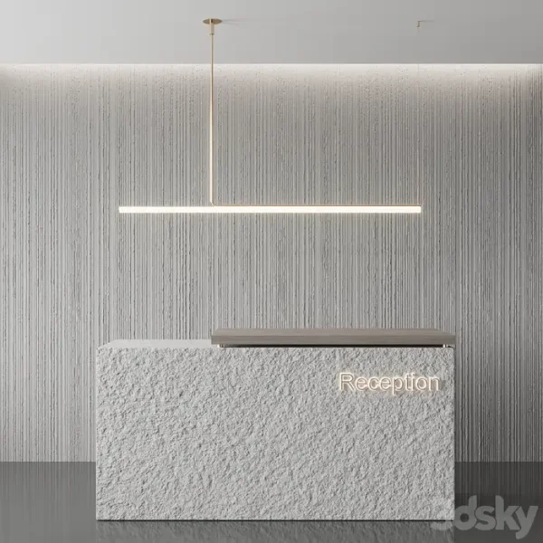 3DSky - Reception 1 - Image 4