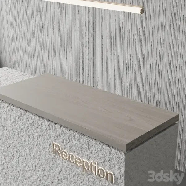 3DSky - Reception 1 - Image 3