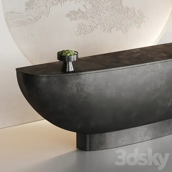 3DSky - Japanese Black Reception - Image 4