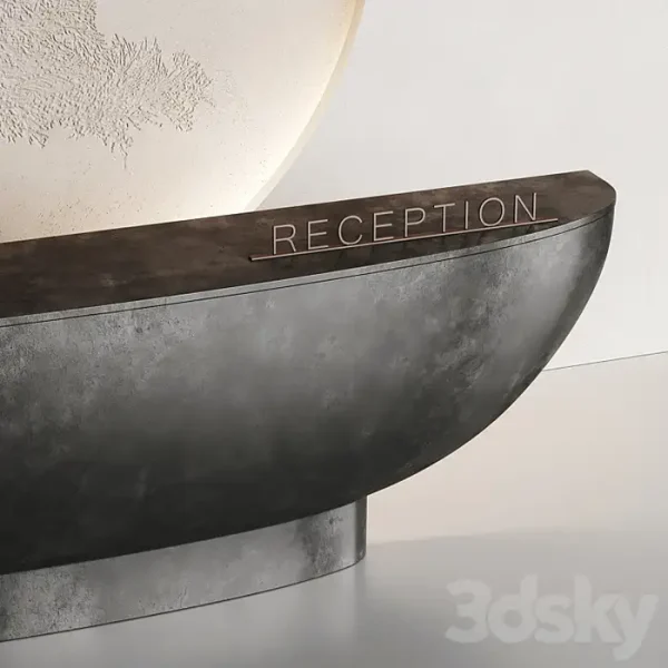 3DSky - Japanese Black Reception - Image 2
