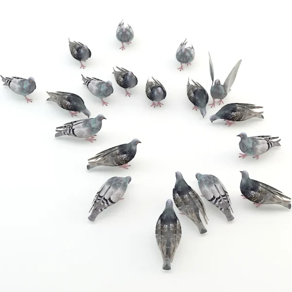 3DSky - Pigeons