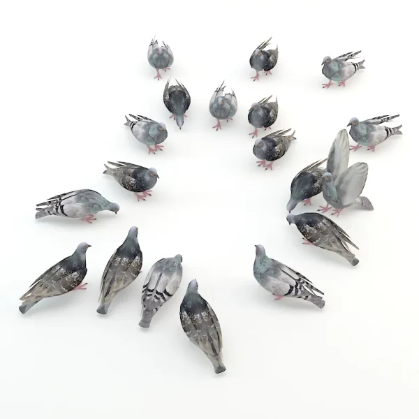 3DSky - Pigeons - Image 2