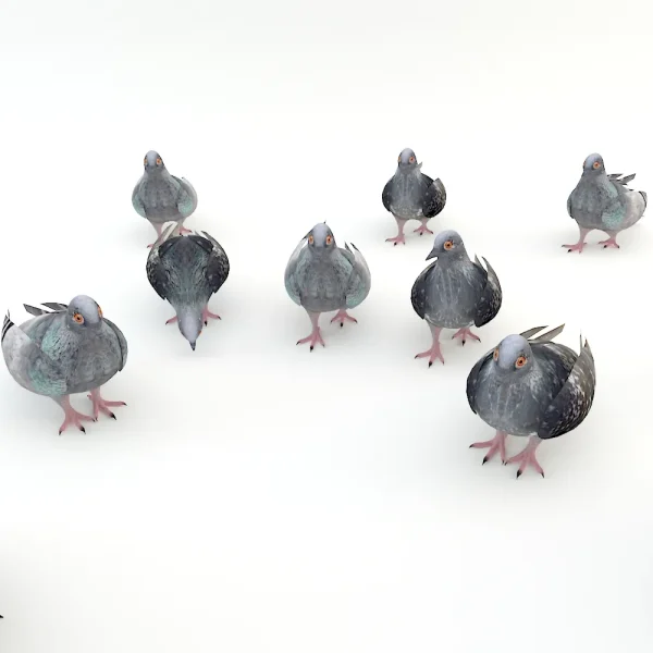 3DSky - Pigeons - Image 3