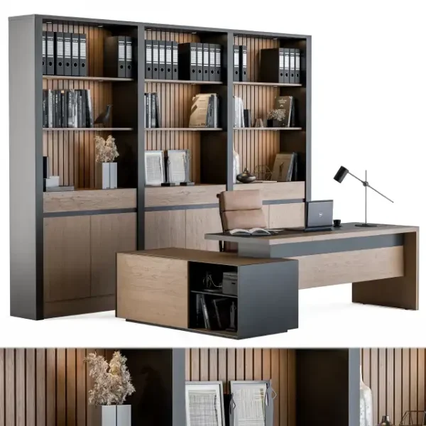 3DSky - Office Furniture Manager Set 09