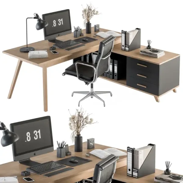3DSky - Office Furniture Manager Set 16