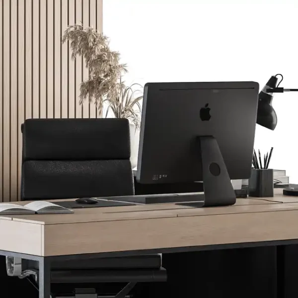 3DSky - Office Furniture Manager Set 11 - Image 2