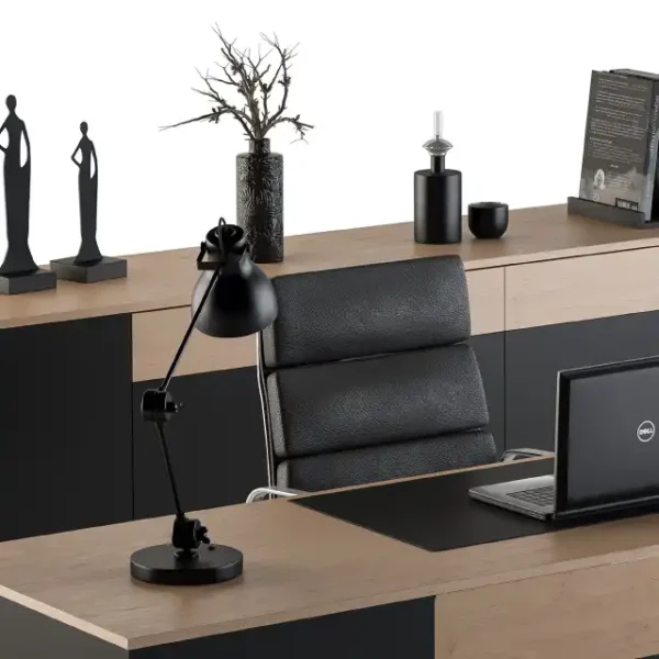 3DSky - Office Furniture Manager Set 10 - Image 3