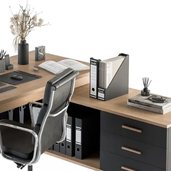 3DSky - Office Furniture Manager Set 16 - Image 3