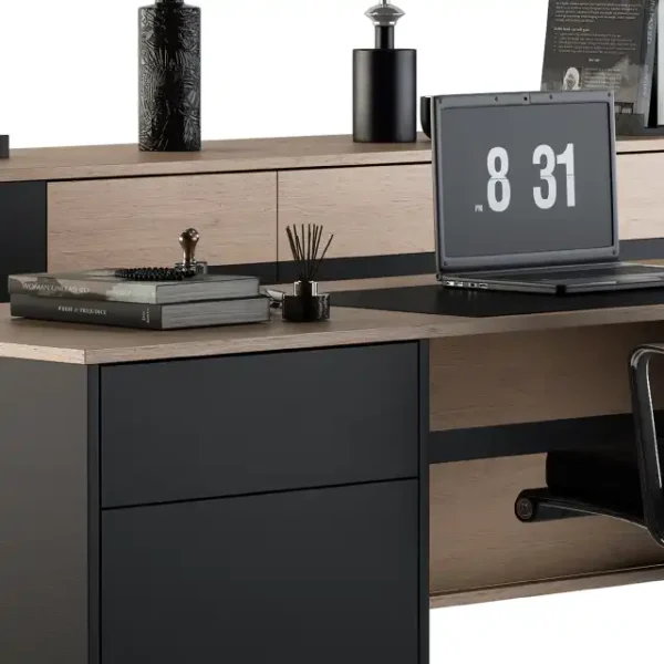 3DSky - Office Furniture Manager Set 10 - Image 4