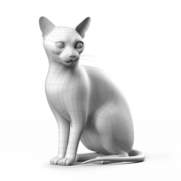3DSky - Cat 3