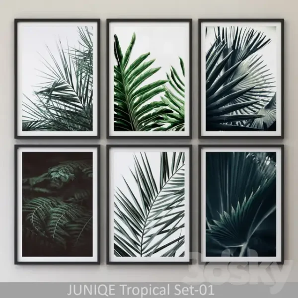 3DSky - Tropical Set 01 Framed