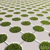 3DSky - Cobbles 1
