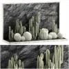 3DSky - Desert Plants Cacti with Wall Rock
