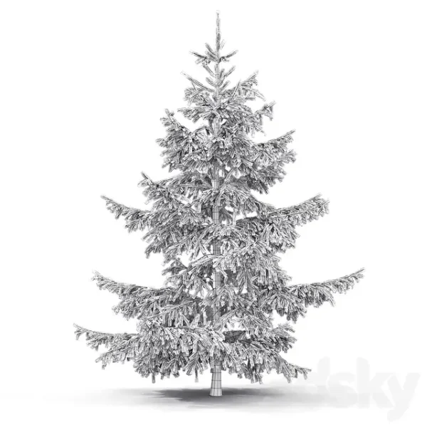 3DSky - Spruce 3 - Image 2