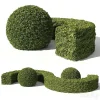 3DSky - Buxus Sempervirens 01