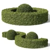 3DSky - Buxus Sempervirens 01 - Image 2
