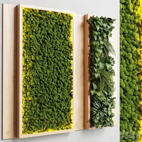 3DSky - Wall Grden and Vertical Moss in Wooden Frame 22