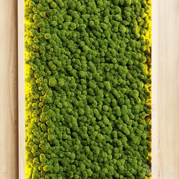 3DSky - Wall Grden and Vertical Moss in Wooden Frame 22 - Image 3