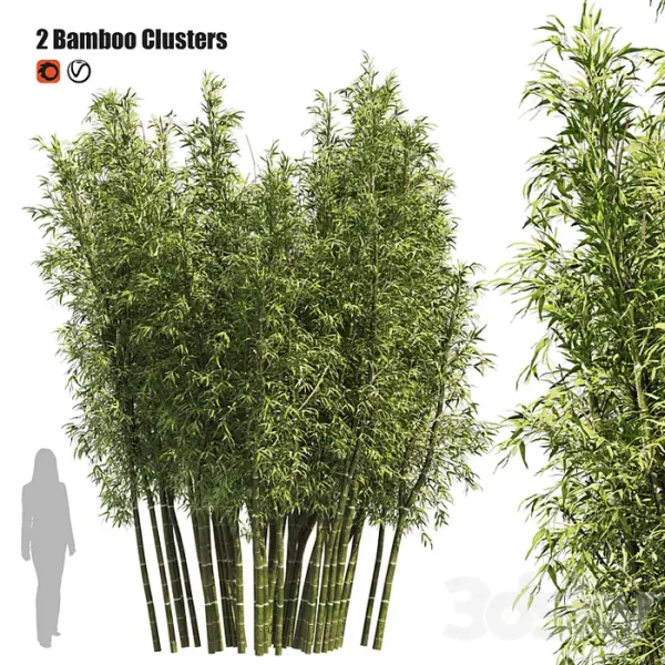 3DSky - 2 Bamboo Clusters