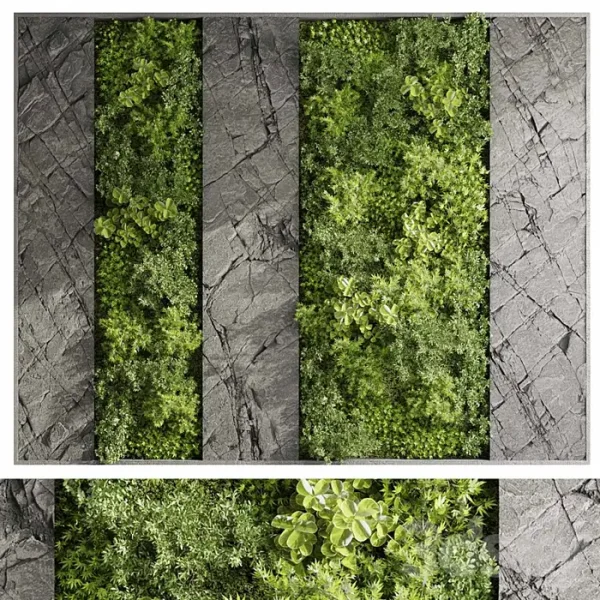 3DSky - Vertical Wall Garden With Rock Frame 27 - Image 2