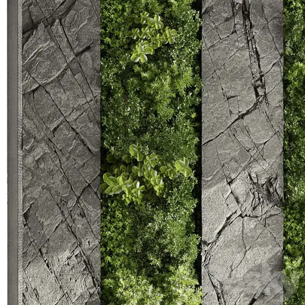 3DSky - Vertical Wall Garden With Rock Frame 27 - Image 3