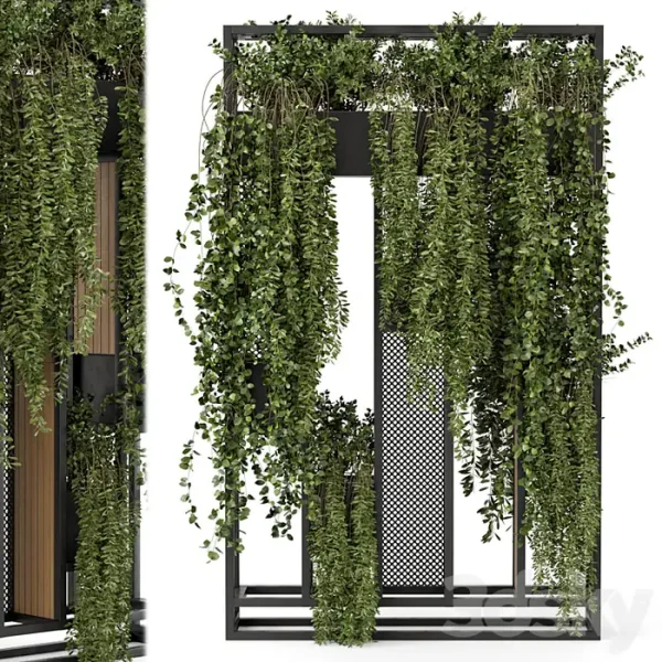 3DSky - Indoor Hanging Plants in Metal Stand - Image 2