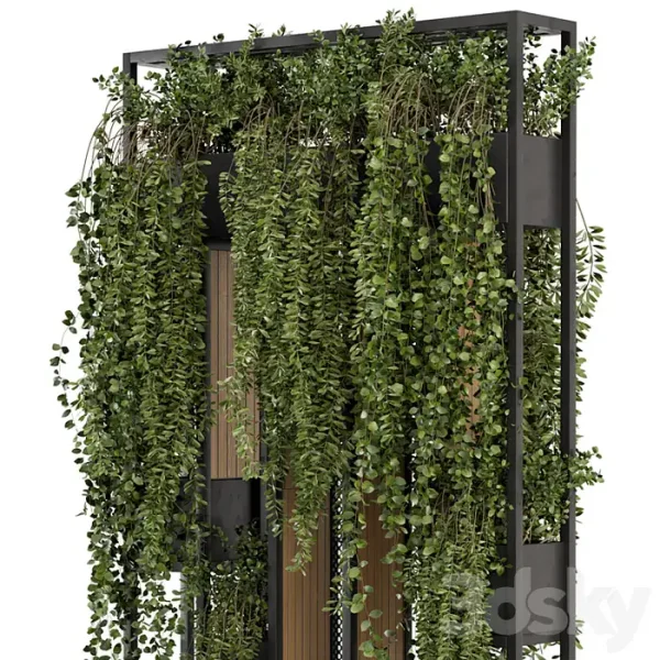 3DSky - Indoor Hanging Plants in Metal Stand - Image 3