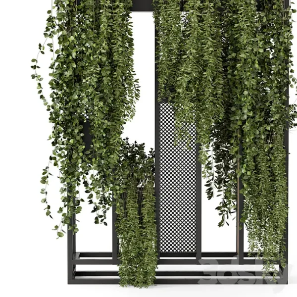 3DSky - Indoor Hanging Plants in Metal Stand - Image 4