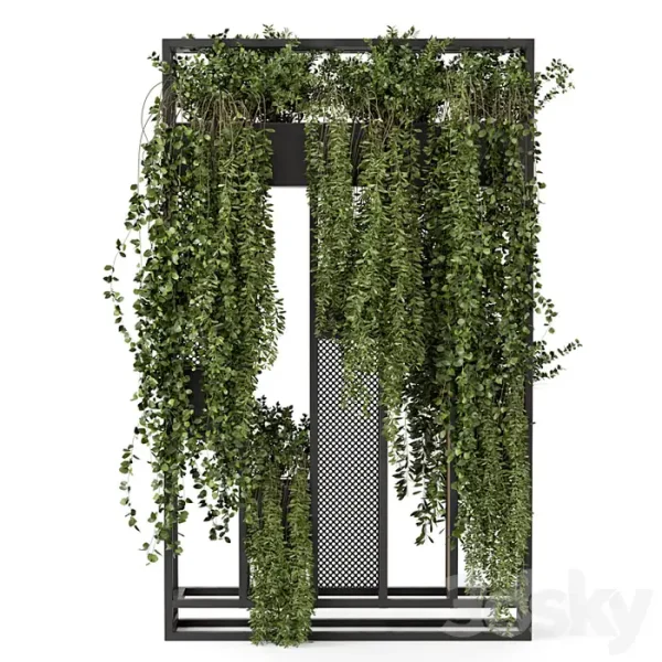 3DSky - Indoor Hanging Plants in Metal Stand - Image 5