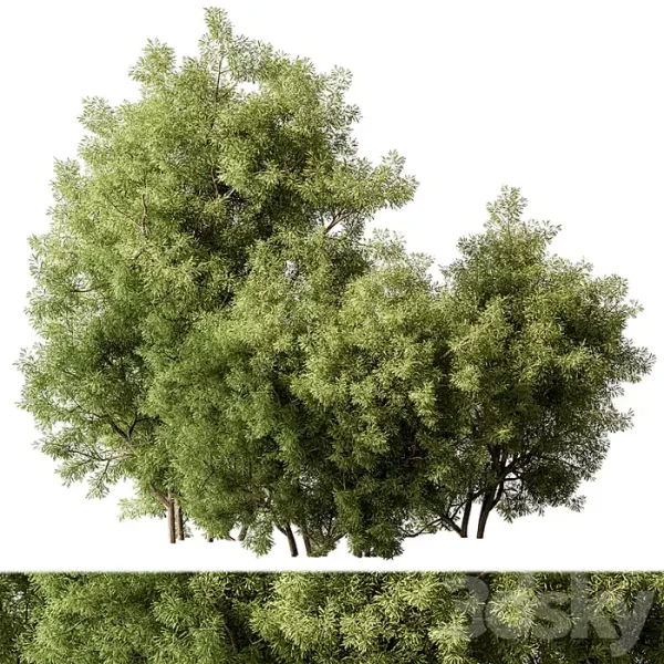 3DSky - Mixed Plant Bush Set 105